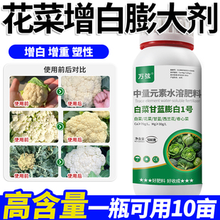 花菜增白膨大剂迅速增白膨大脆嫩型菜花花椰菜西兰花专用肥叶面肥