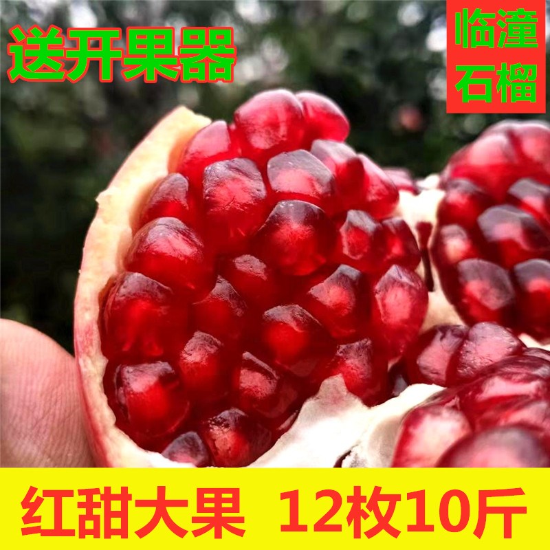 兵马俑正宗临潼红甜石榴新鲜采摘