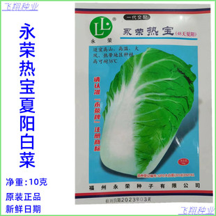 永荣热宝48天夏阳白菜种子耐热大白菜种籽抗病性强夏秋季白菜种孑