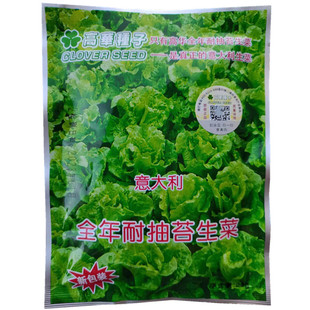高华意大利生菜种子全年耐抽苔生菜耐热耐寒四季栽培香港生菜种孑