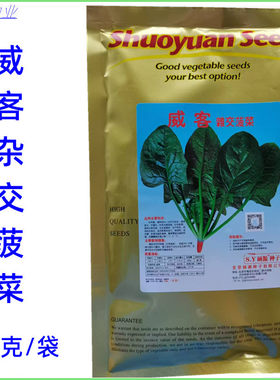 威客杂交菠菜种子叶色光亮深绿生长快耐寒耐抽苔春秋冬季菠菜种孑