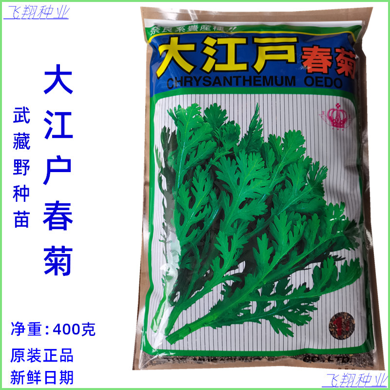 大江户春菊茼蒿种子武藏野正品