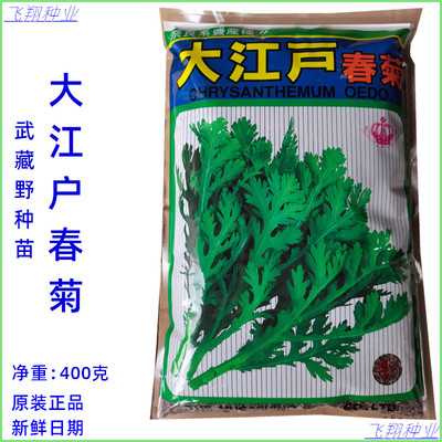 大江户春菊茼蒿种子武藏野皇帝菜种籽侧枝多香味浓春秋季茼蒿种孑