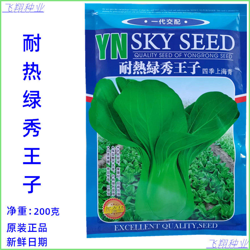 耐热绿秀王子青梗菜种子花瓶菜四季小白菜良种春夏秋冬季蔬菜种孑