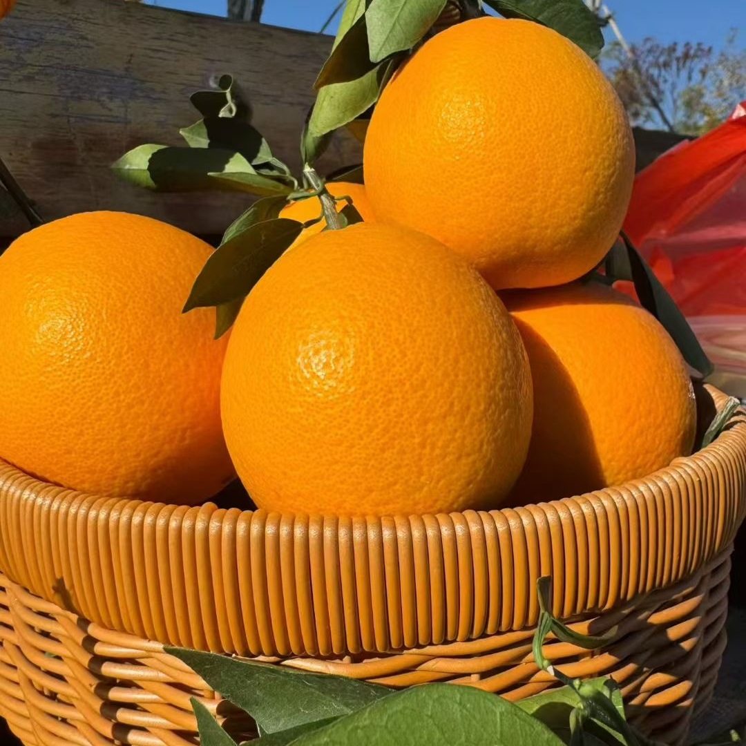正宗四川金堂脐橙现摘橙子新鲜产地直发孕妇应季柑橘水果甜蜜多汁,水产肉类/新鲜蔬果/熟食,橙,淘宝优惠券,粉丝福利购,淘宝优惠卷