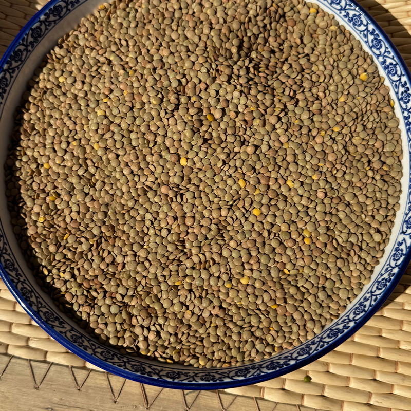 山西新小扁豆农家自产特产新鲜扁豆兵豆扁豆子可生豆芽五谷杂粮