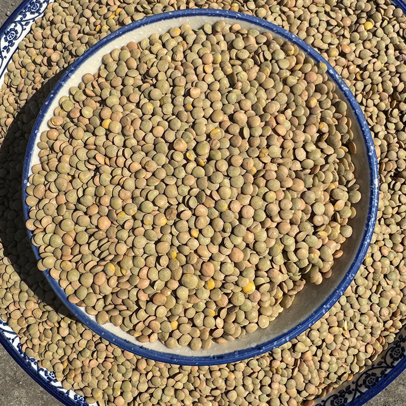 新鲜小扁豆农家自产特产