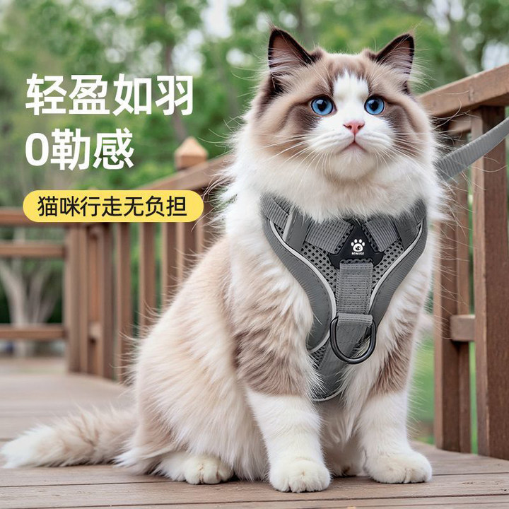 猫咪牵引绳透气网布胸背带外出小型犬防挣脱遛猫绳狗绳狗狗牵引绳