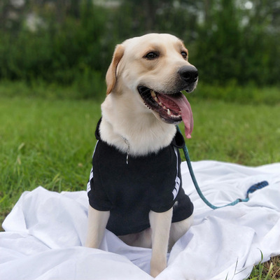 大型犬衣服金毛拉布拉多中型犬幼犬狗狗衣服卫衣秋季冬装卫衣
