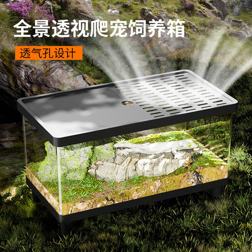爬宠饲养箱蜥蜴假山守宫饲养盒亚克力寄居蟹蜘蛛蜥蜴透明高清全透