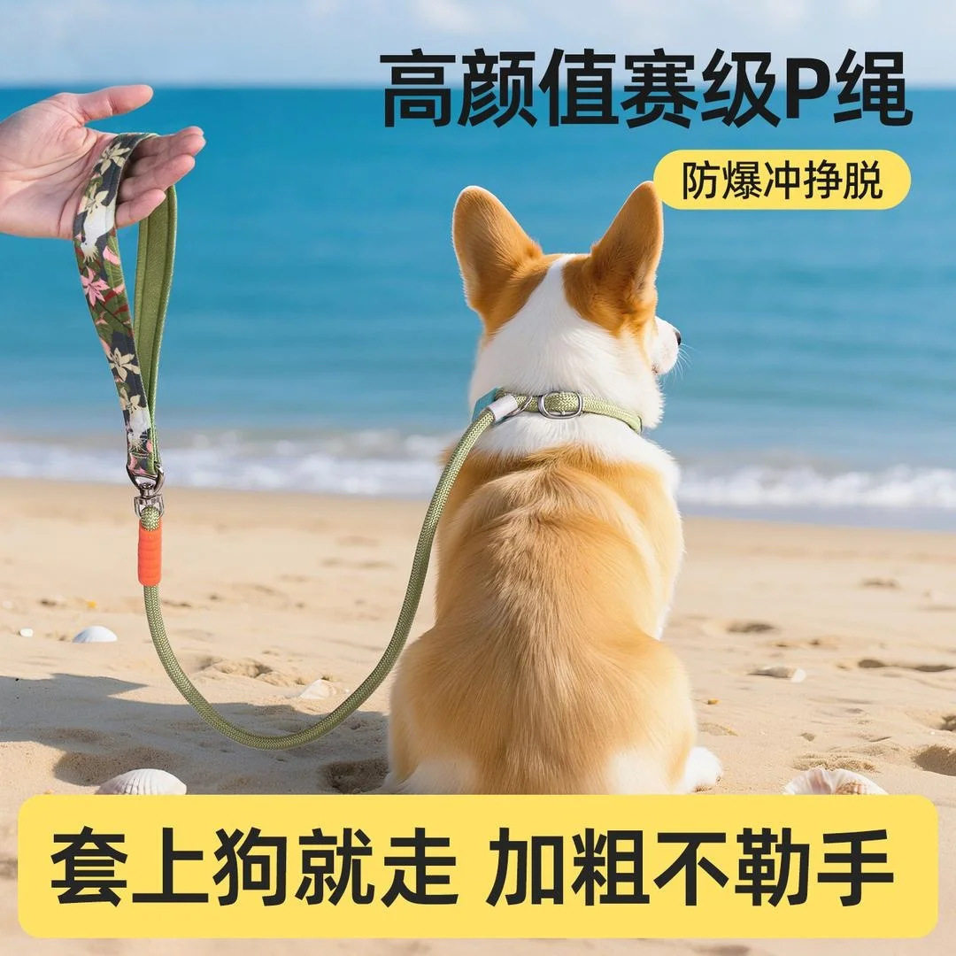 p链p绳狗狗牵引绳遛狗链子小中大型犬训犬防爆冲打结金毛宠物用品