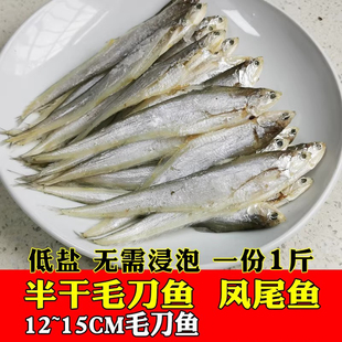 半干毛刀鱼凤尾鱼湖南益阳毛花鱼新鲜毛叶鱼制低盐不咸刀鱼500g