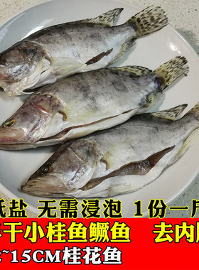 半干小鳜鱼小桂鱼湖南新鲜淡水