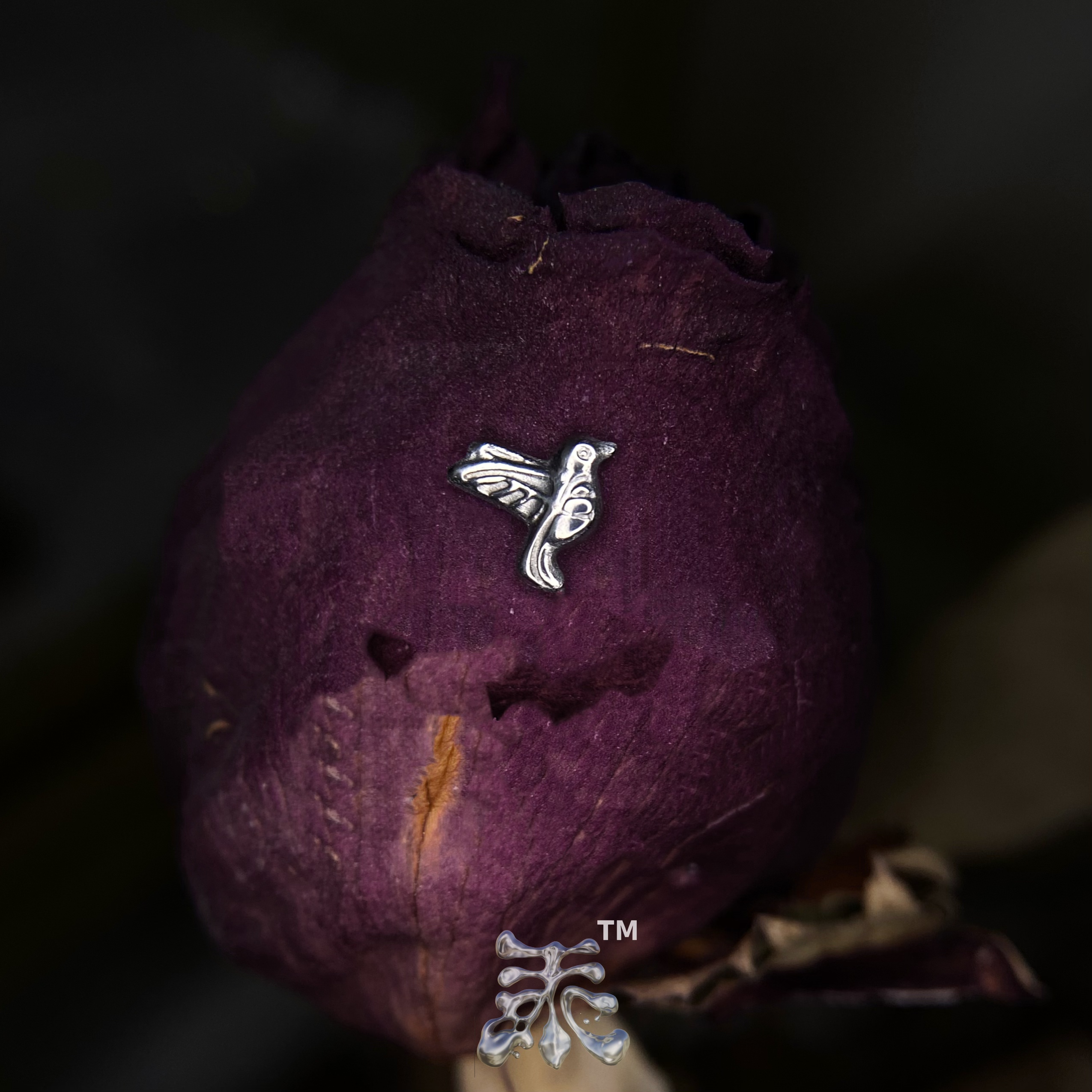 和平鸽简约耳钉16/18g螺纹端植入级钛合金小众设计睡觉免摘防过敏