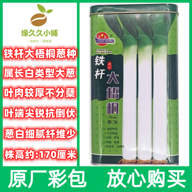 章丘铁杆大梧桐大葱种子长白型大葱籽春秋种植葱种返青早耐寒葱籽
