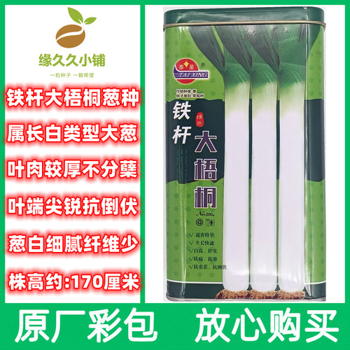 章丘铁杆大梧桐大葱种子长白型大葱籽春秋种植葱种返青早耐寒葱籽