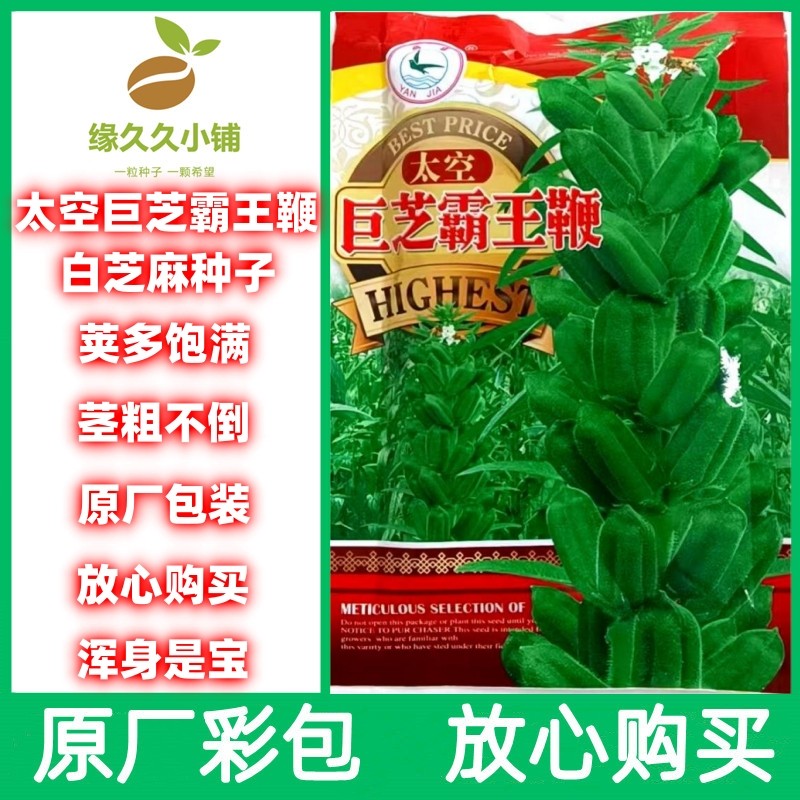 太空霸王鞭白芝麻种子好吃好种原厂包装放心购买荚多籽多好种高产
