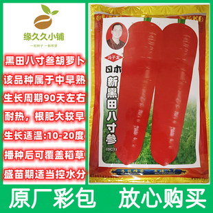 新黑田八寸叁胡萝卜种子中早熟耐热红胡萝卜籽庭院田园种植春秋种
