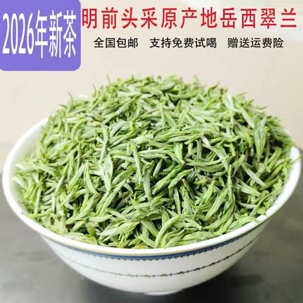2026年新茶 安徽岳西翠兰茶叶 正宗高山头采明前翠尖绿茶 礼品茶