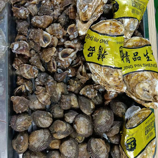 《杂货贝类》三拼贝类 鲜活发货 包活到家6斤