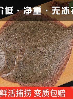 多宝鱼当天上岸的货 肉质细腻鲜嫩 无杂刺 适合小孩老人