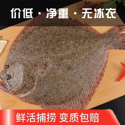 多宝鱼当天上岸的货 肉质细腻鲜嫩 无杂刺 适合小孩老人