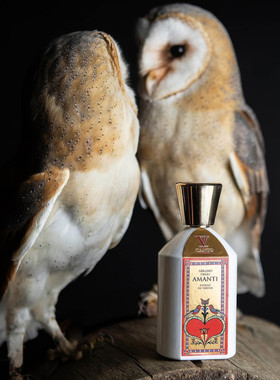 V坎朵 V Canto星之阿尔卡诺香水香港店