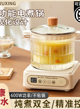 电炖锅煲汤锅家用智能全自动高端新款电炖盅燕窝煮粥炖品隔水炖