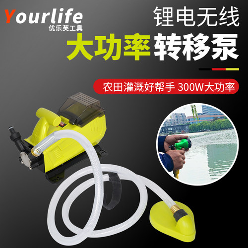 便携式洗车20v花园锂电抽水泵