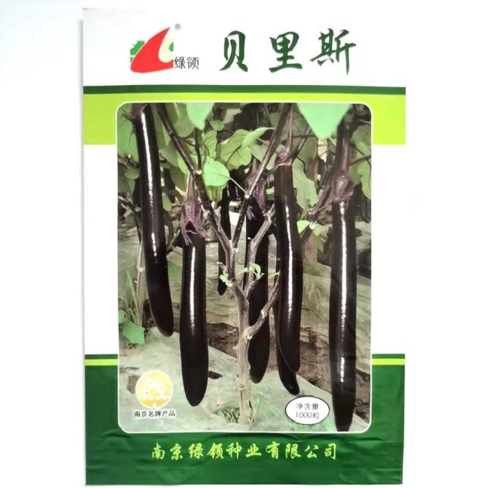 绿领菲尼克斯 贝里斯黑紫长茄子种籽早熟长条紫黑油亮长茄种子