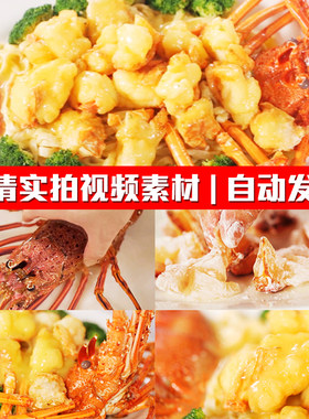 舌尖上油焗咖喱澳洲大龙虾烹饪海鲜调料美食实拍PR剪辑短视频素材