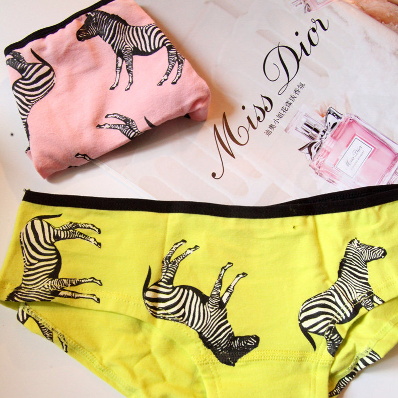 Slip jeunesse mouvement en coton - Ref 642142 Image 5