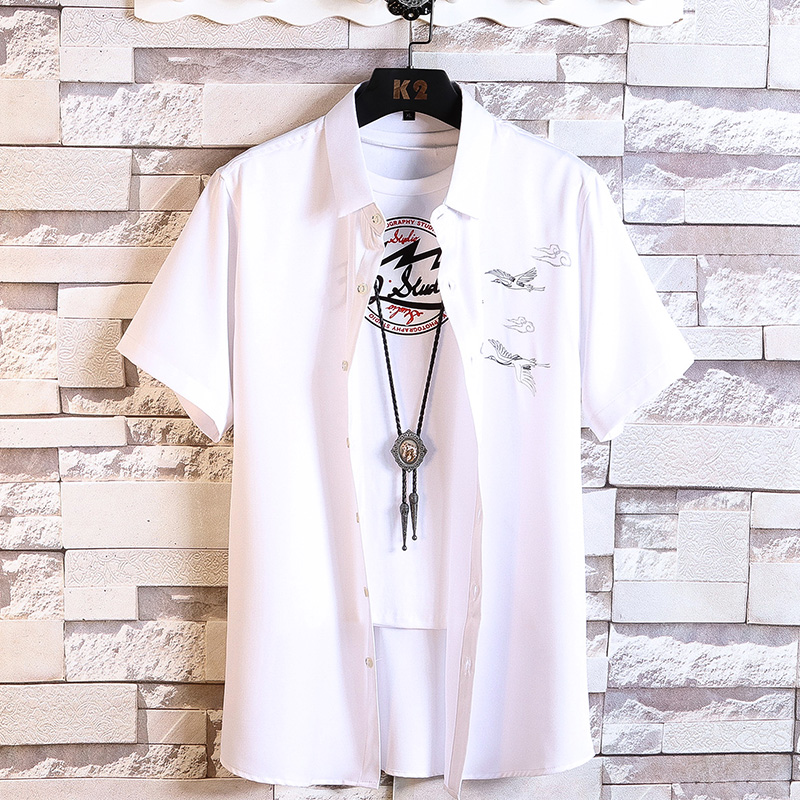 2025四色仙鹤夏季男短袖风挂拍衬衣大码宽松衬衫3613P40，男装T恤，星座101C（原电商A011-3）