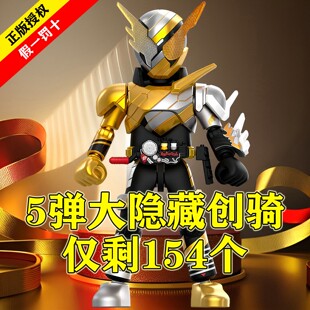 布鲁可假面骑士群星版第五弹5隐藏款创骑拼装积木人端盒男孩玩具5