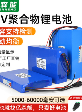 亿森能大容量12V聚合物锂电池60Ah户外音响直播led灯带可充电电瓶