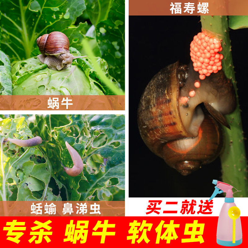 杀蜗牛专用药四聚乙醛植物菜地家用蛞蝓田螺鼻涕虫软体动物杀虫剂