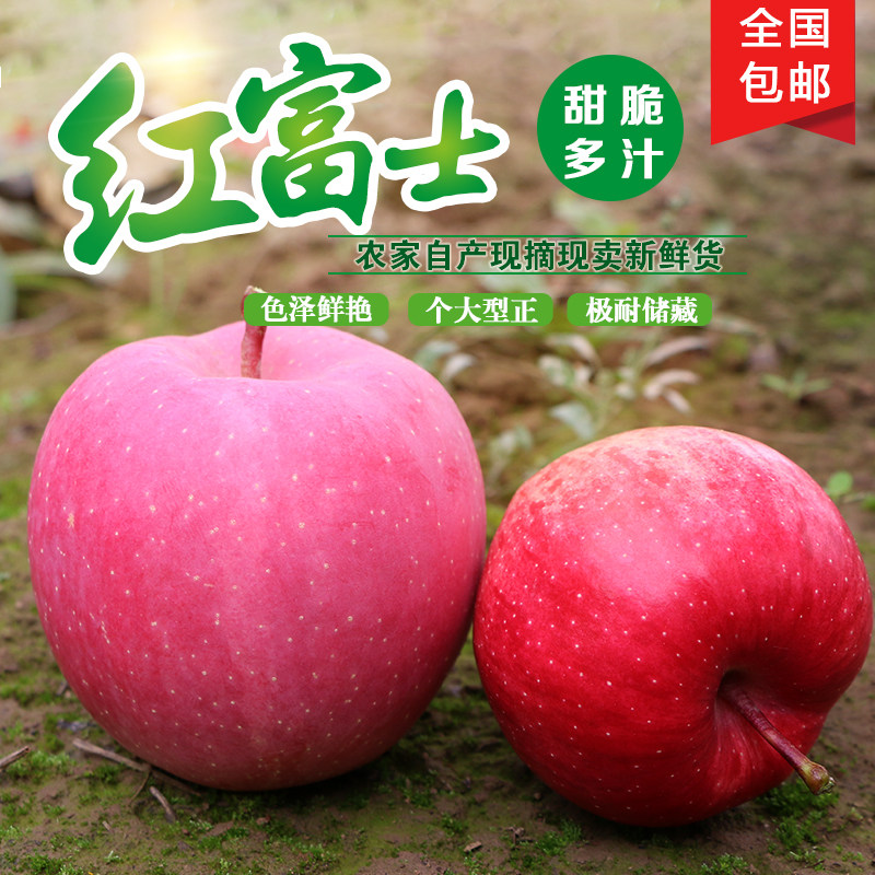 新鲜平凉金果 静宁红富士一箱整件7斤包邮水果 甘肃特产 带皮吃