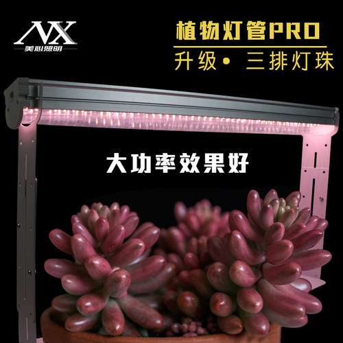 多肉补光灯上色仿太阳led三排