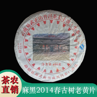 易武正山古树老黄片2014春乔木王茶饼勐腊麻黑成兴昌号普洱黄金叶