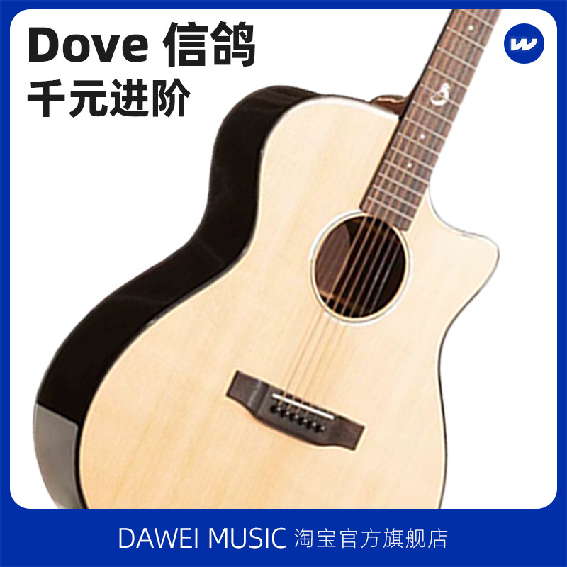 Dove鸽子新品信鸽220/260云杉木单板民谣吉他初学入门男女生弹唱