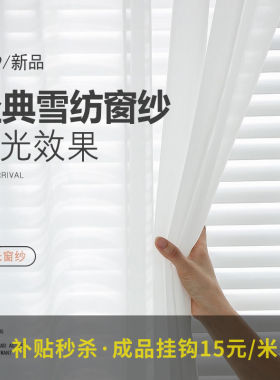 窗帘雪纺透光细腻滑顺纱帘半遮光窗帘简约客厅卧室白色窗纱
