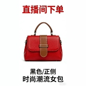 女包包 B001 B099新款