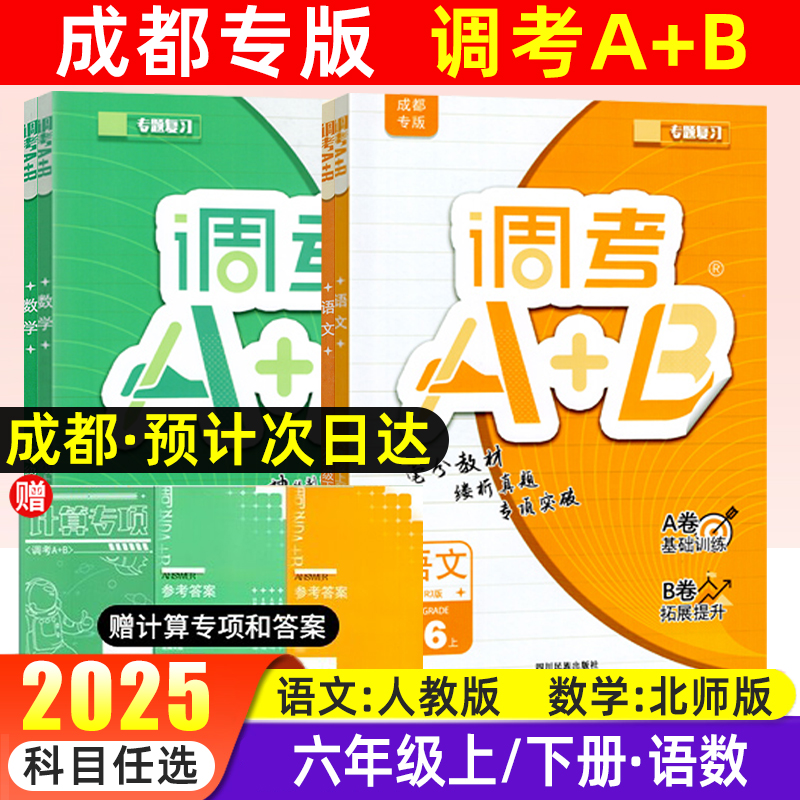 成都调考a+b小学六年级调考A+B
