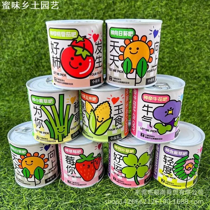 蜜味园艺盲盒小盆栽幼儿园礼物室内种植花卉种子学生桌面绿植盆栽