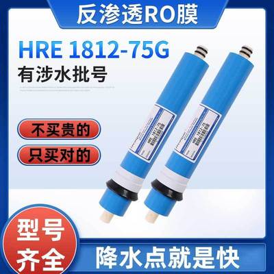 华派RO膜滤芯50G75G家用反渗透直饮纯水机净水器通用配件