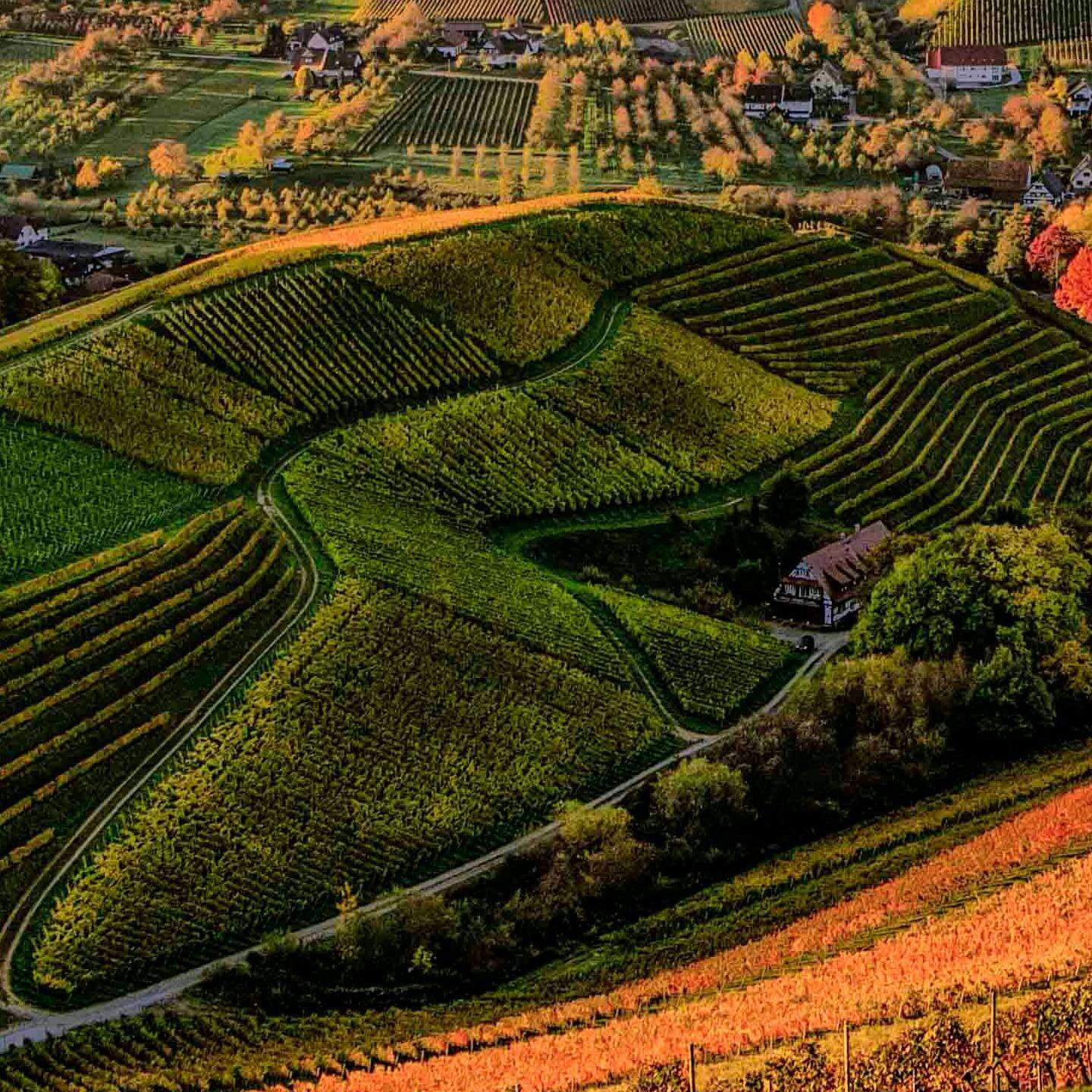 my测试815,测试商品请不要拍