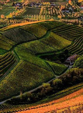 my测试815,测试商品请不要拍