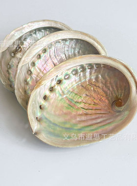 天然海螺鲍鱼壳鼠尾草香薰燃烧容器贝壳批发创意家居摆件装饰品