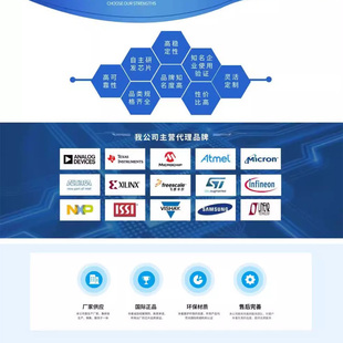 R5F10BGECKFB 定制类商品