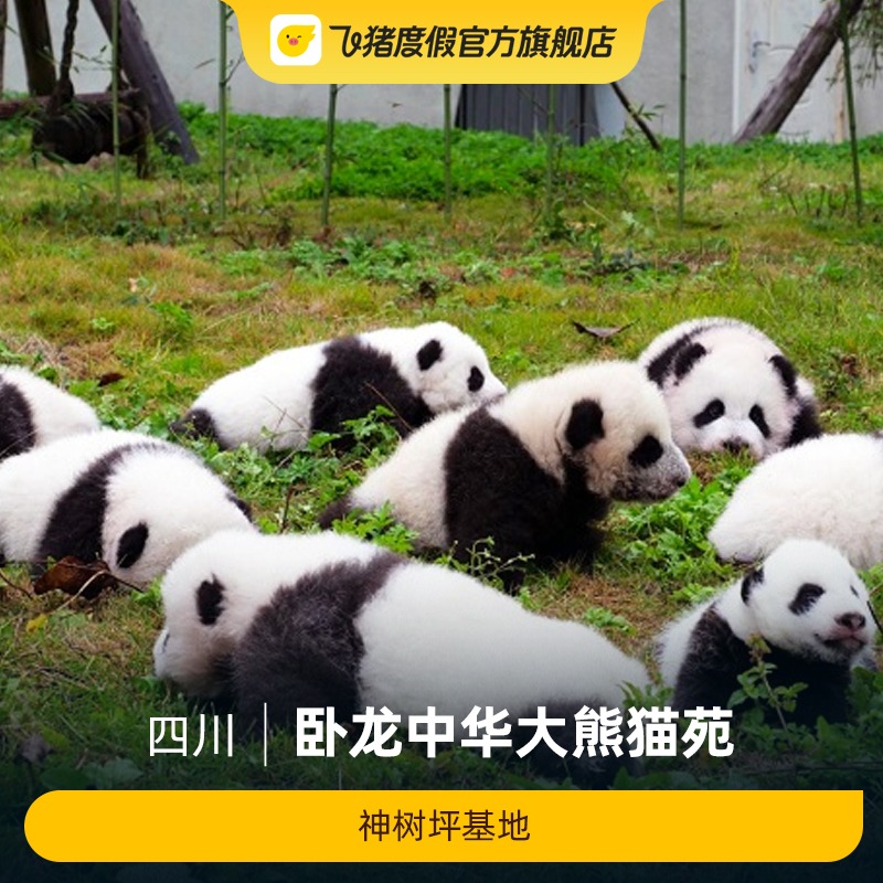 卧龙大熊猫苑神树坪